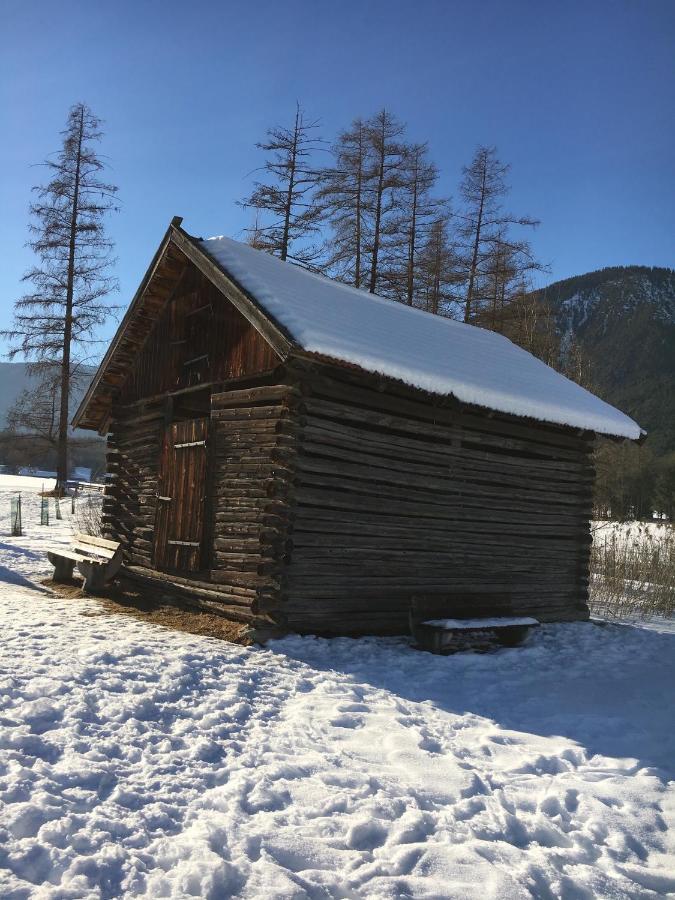 Apart-Haselwanter Миминг Экстерьер фото